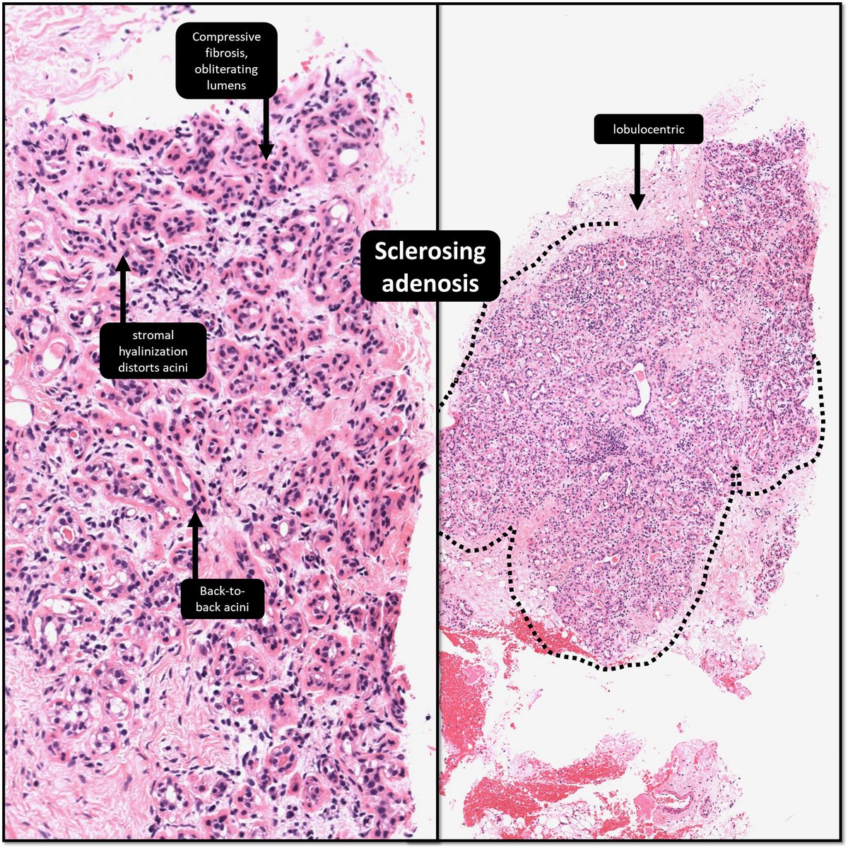 DrCycloPath tweet picture