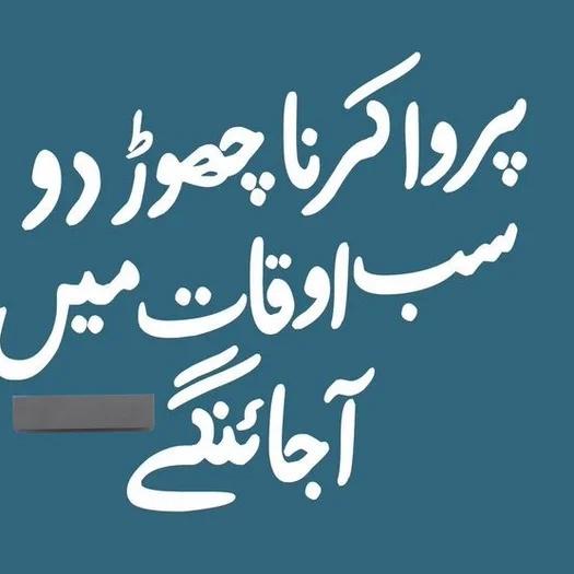 sajjad_mal7288's tweet photo. #NewProfilePic https://t.co/PmoApf7Evg
