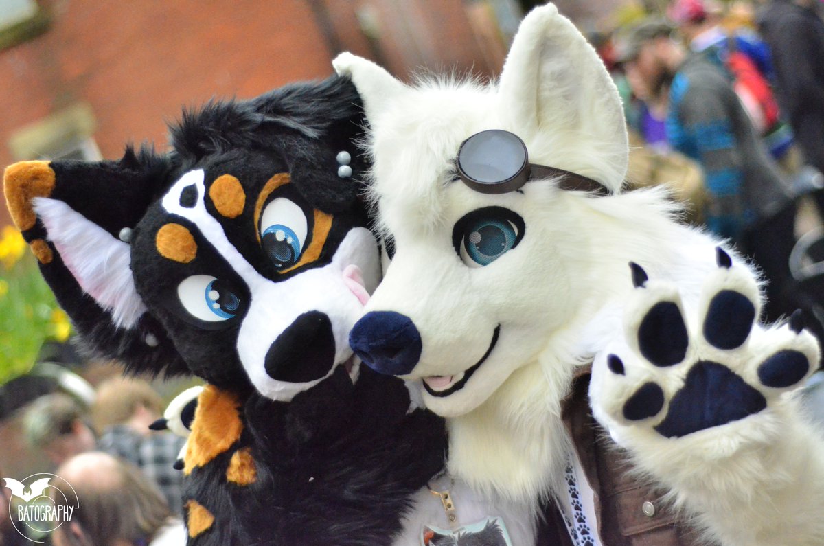 Always a pleasure to see @WednesdayWeird1 at MancFurs! Every one of her suits are just gorgeous #FursuitEveryday ✂️- @GoFurItstudios 📷 - TG: @/DutchTheBat