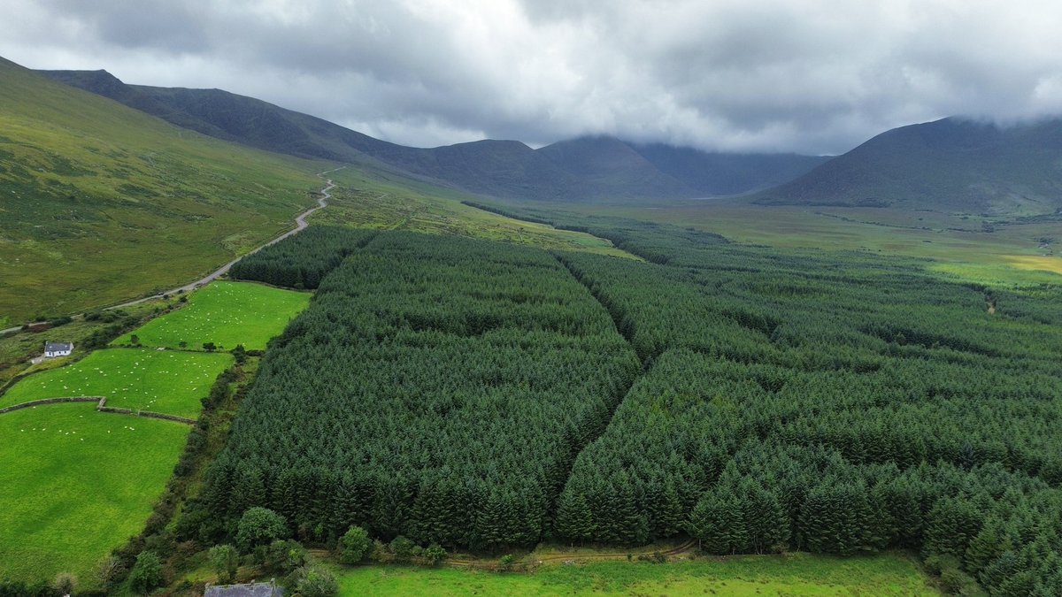 Ó Foghlú tweet media