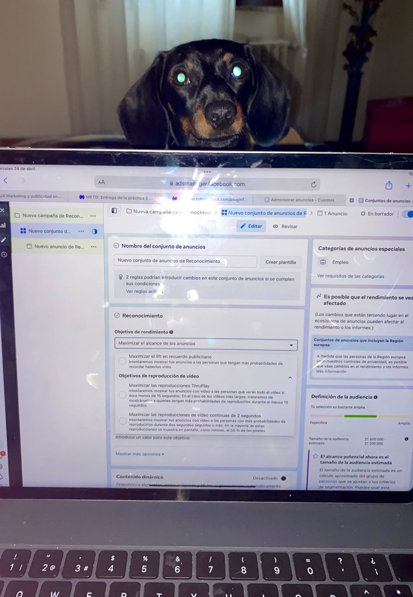 Yo:  -bueno tengo que aprovechar un rato de prácticas  mientras Trufa duerme.
Trufa: -Ola k ase