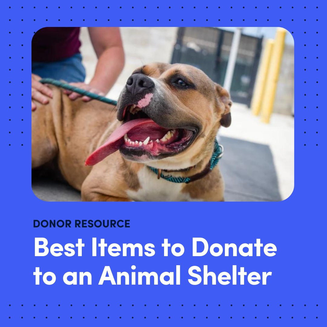 Towel, pet food or litter... ✅ Looking for more donation ideas or supplies to donate to your local animal shelter? Check out today's donor resource for the full checklist: bit.ly/3Q8mTkX.