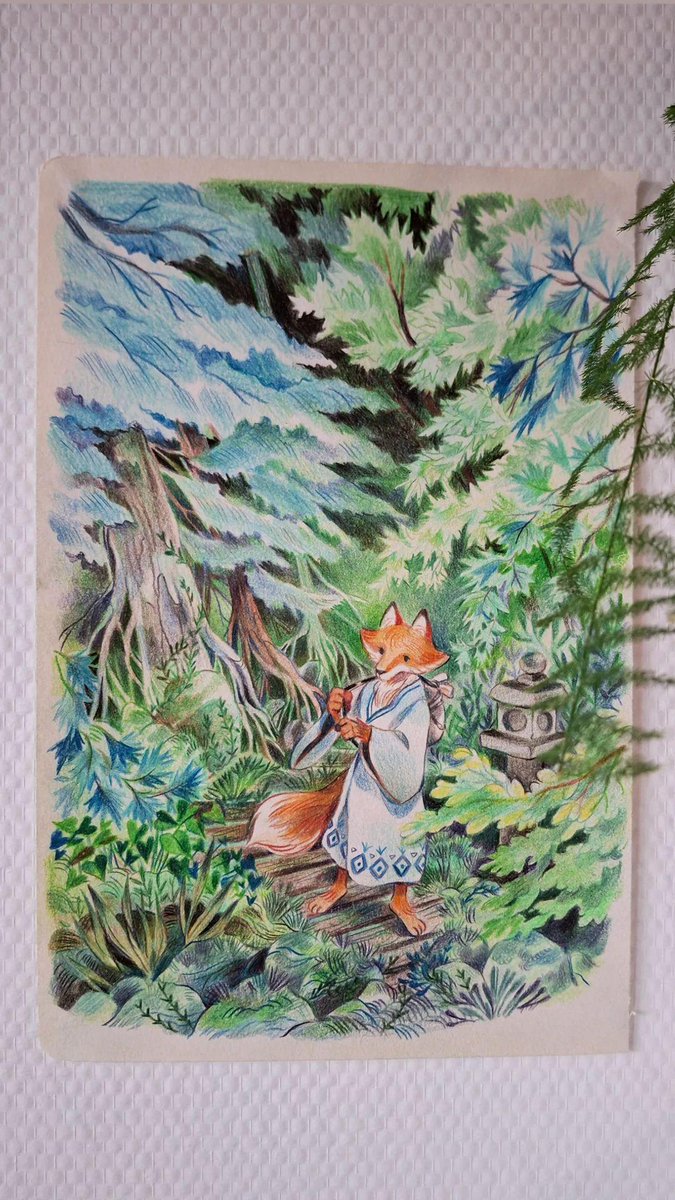 Teapotee's tweet photo. Pèlerin 🦊🌿 (et chat glue) https://t.co/rvhb6cLSIu
