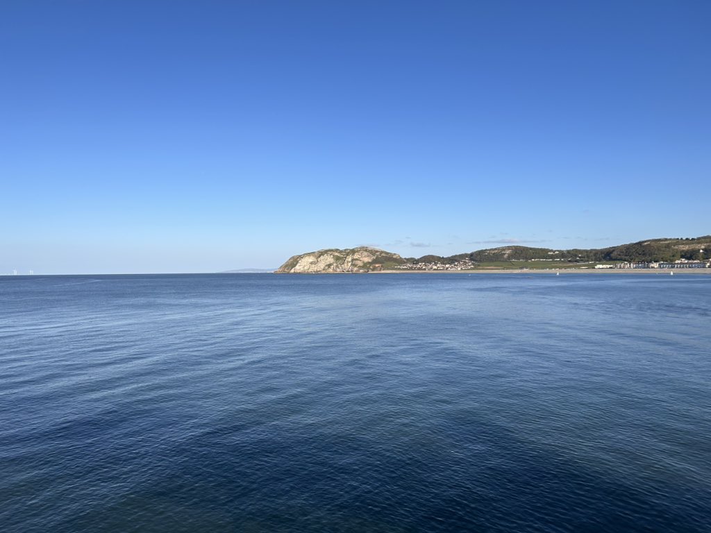 Archaeo_slave tweet media