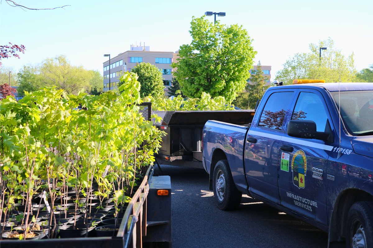 Town of Fort Erie Annual Tree Giveaway!
Visit the Fort Erie Leisureplex parking lot on Saturday, May 11th, to pick up a tree for free. The giveaway starts at 8:00 a.m. and runs until 11:00 a.m. Over 800 trees will be given away. We are accepting food donations for COPE.
#forterie