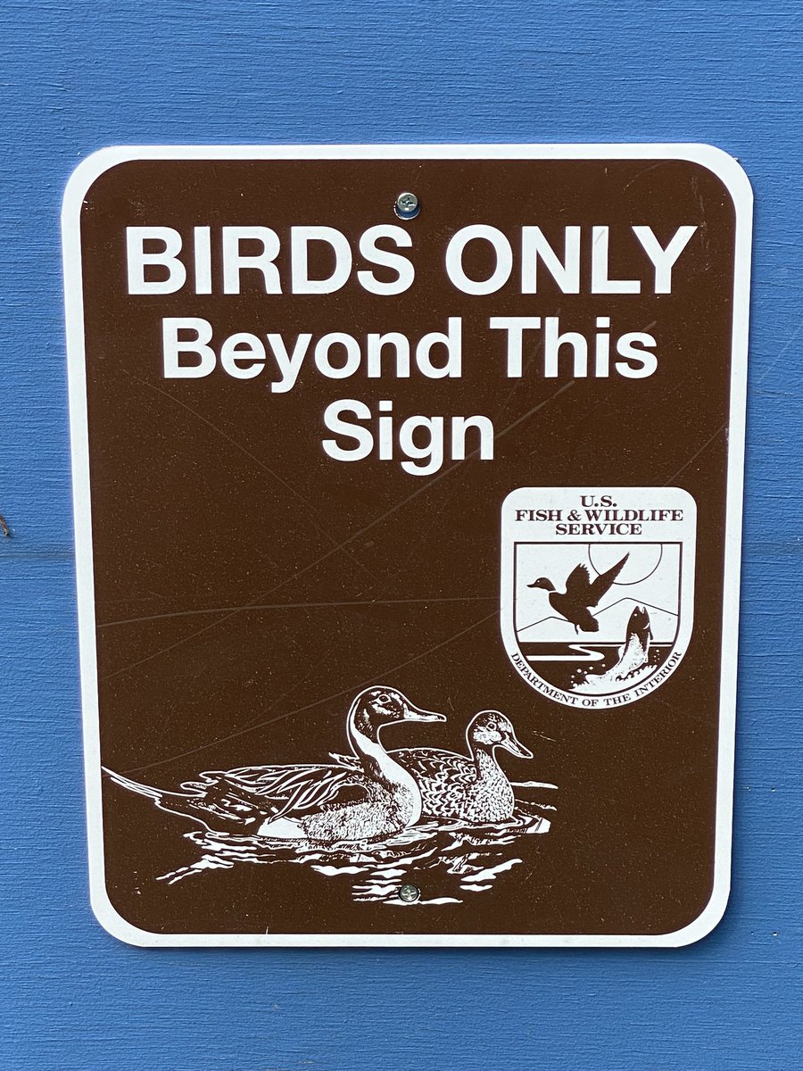 Betcha there’s a lot of squirrels that see this sign and think they’re total rebels.