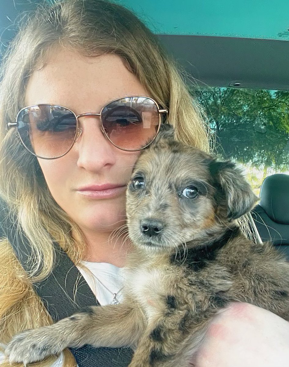 TheLaylaLynn's tweet photo. Named her Prada since she looks bougie ❤️🎀💎 https://t.co/TyOh1RAZoa