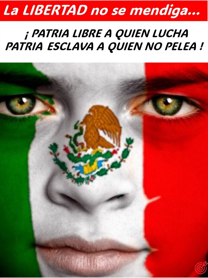 MaGpeRamirez1's tweet photo. Tener en @SCJN al horrible monstruo de mediocridad  @LeniaBatres y a plagiaria🤮@YasminEsquivel_ avergüenza mujeres enMx🇲🇽 y el🌎 @MargRiosFarjat @lorettaortiza @NormaLuciaPina @IntlCrimCourt @CIJ_ICJ @CorteIDH @washingtonpost @el_pais @Reforma @bbcmundo https://t.co/o7SEQ1SZ1E