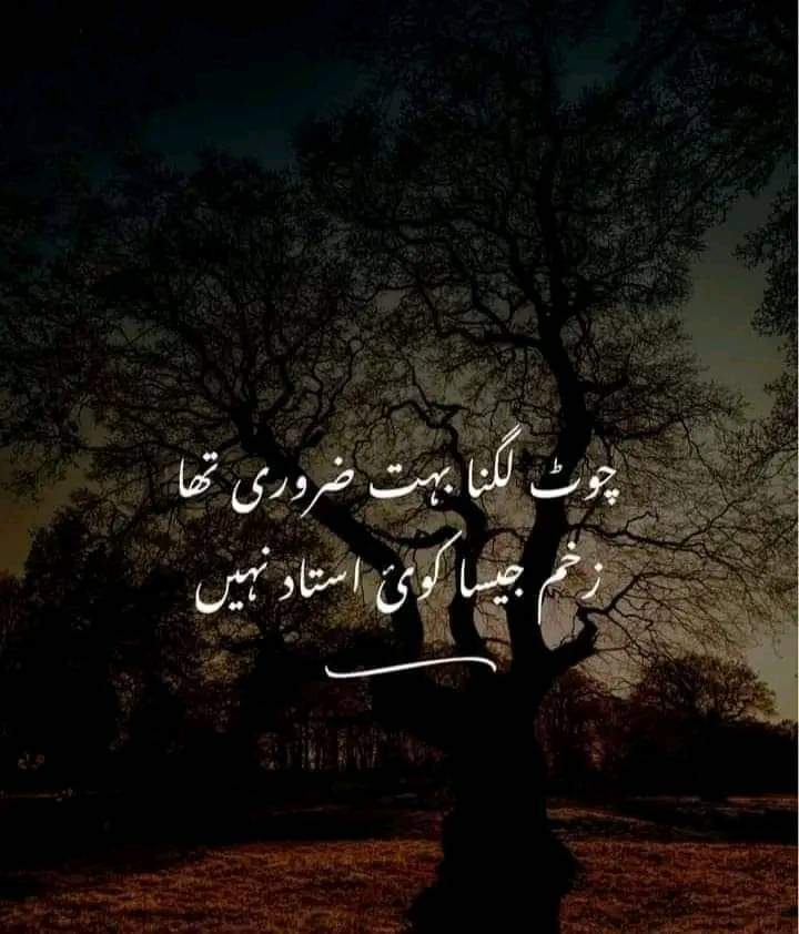 Assalamu Alaikum 🥀🥀 Good night 💐💐💐