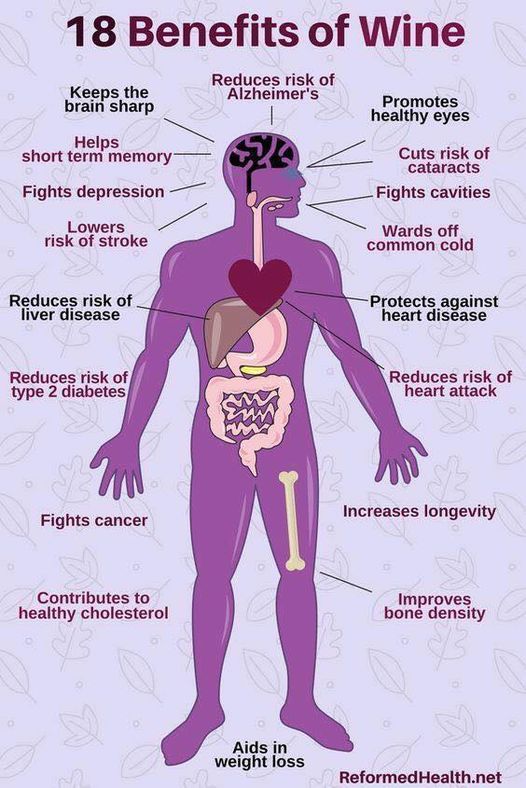 🍷  18 Benefits of Drinking Wine - 
    drink in moderation or not at all . . .
        #wine  #Health #HeartHealth