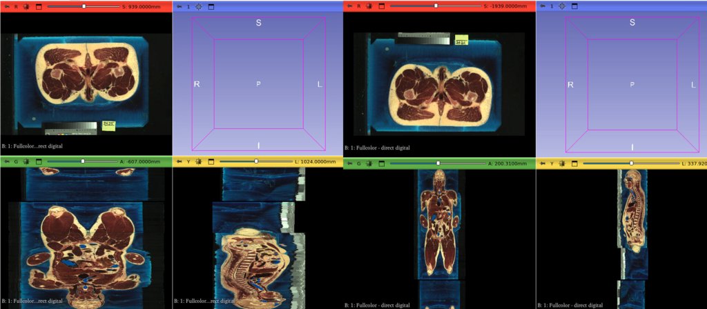 Matt McCormick @thewtex@fosstodon.org tweet media