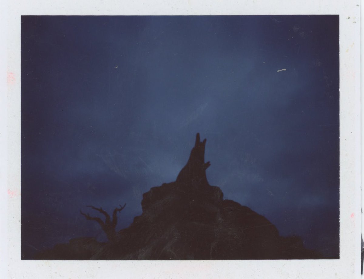 landrymajor's tweet photo. Cashs’s @Polaroid for #polaroidweek #analogfilm #analogphotography https://t.co/vI9EUqhqI7