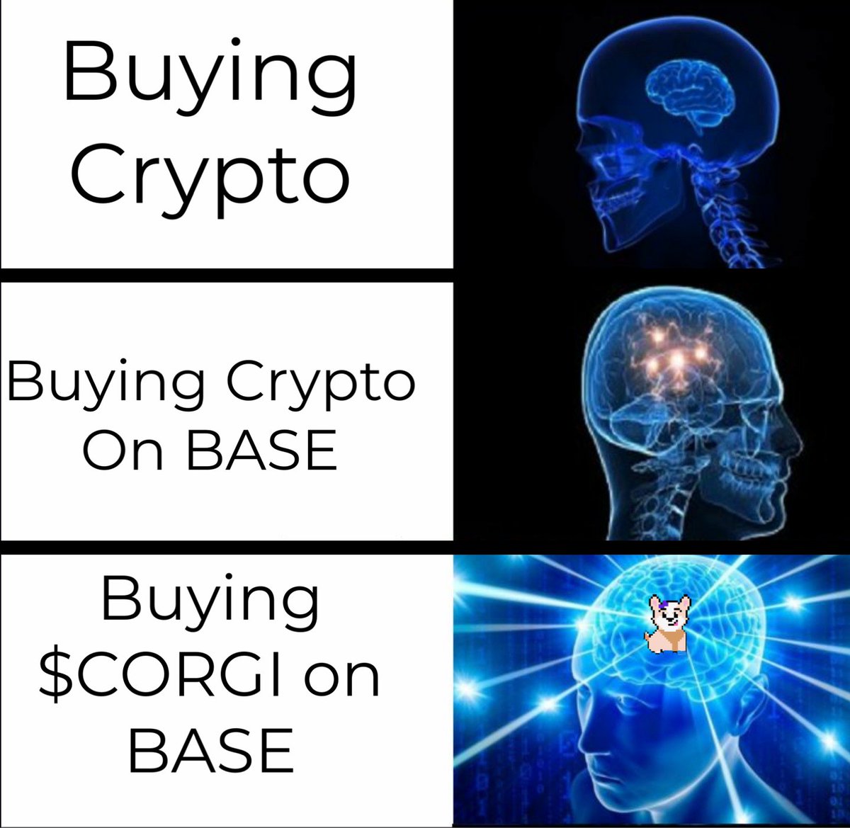 crypto_corgis's tweet photo. Hold Tight $CORGI Family, Buy The Dip and Wait For The #Bullrun2024 To Resume! We Have Been Around For Years, And Will Continue To Grow &amp; Succeed! https://t.co/iFYLmaWNgm