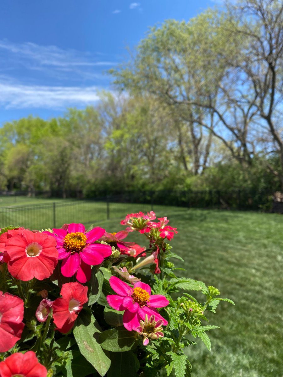 Kill The Fill PAC tweet media