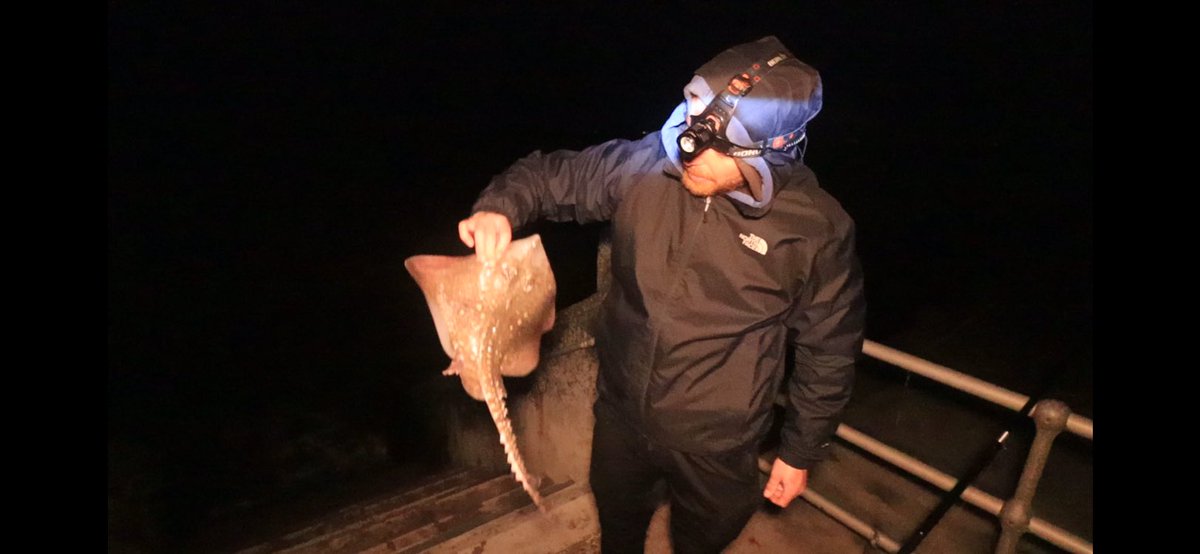 Sea fishing with Carl on the Gynn wall. youtu.be/qjiDecqIdF4?si… via <a href="/YouTube/">YouTube</a>