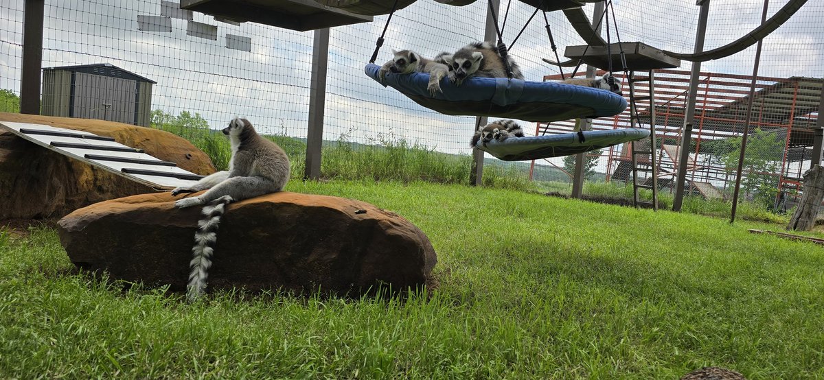 Derek Krahn tweet media