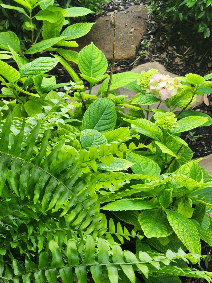 Every day, another kind of pretty. Are you pretty today?