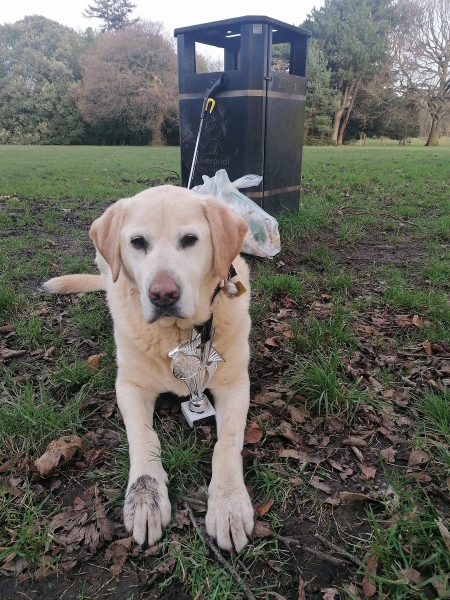 It’s #internationalguidedogday and Arrow hasn’t stopped banging on about it all day 

With his success as Non Human Womble of the Year 2023 this will make him insufferable 

In all seriousness @guidedogs are incredible and a life line for so many, we are lucky to have Arrow