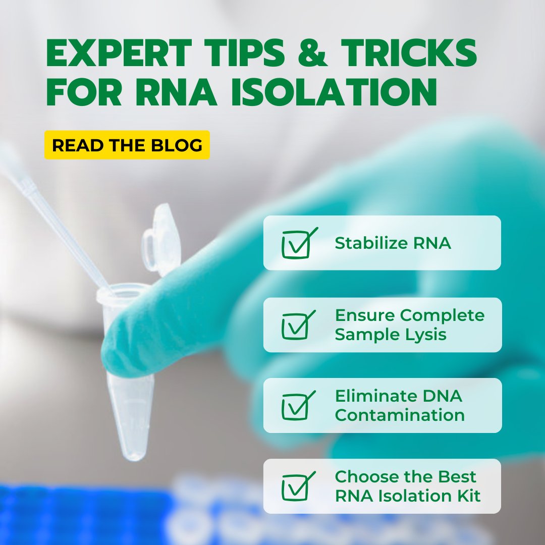 RNA extraction is notoriously difficult. By following a few best practices, you can consistently recover high-quality RNA suitable for any downstream application. Learn our most reliable RNA isolation methods: zymoresearch.com/blogs/blog/tip…