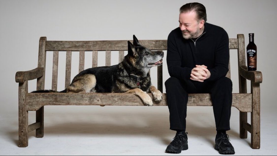 Happy 13th Birthday to the real star of #AfterLife. 
Good Girl, Anti ❤️