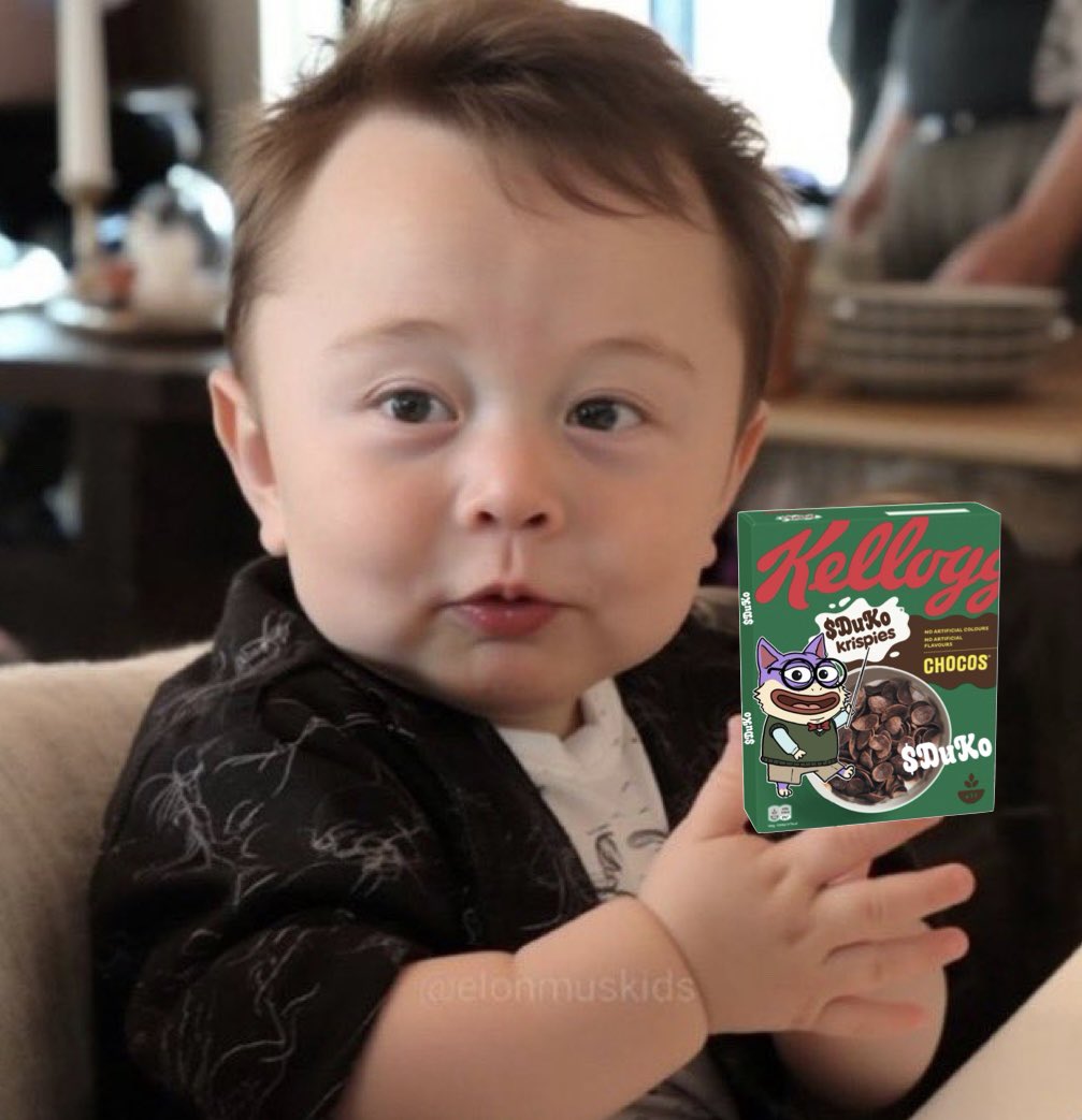 Baby @elonmusk is Holding $duko ! You too ??