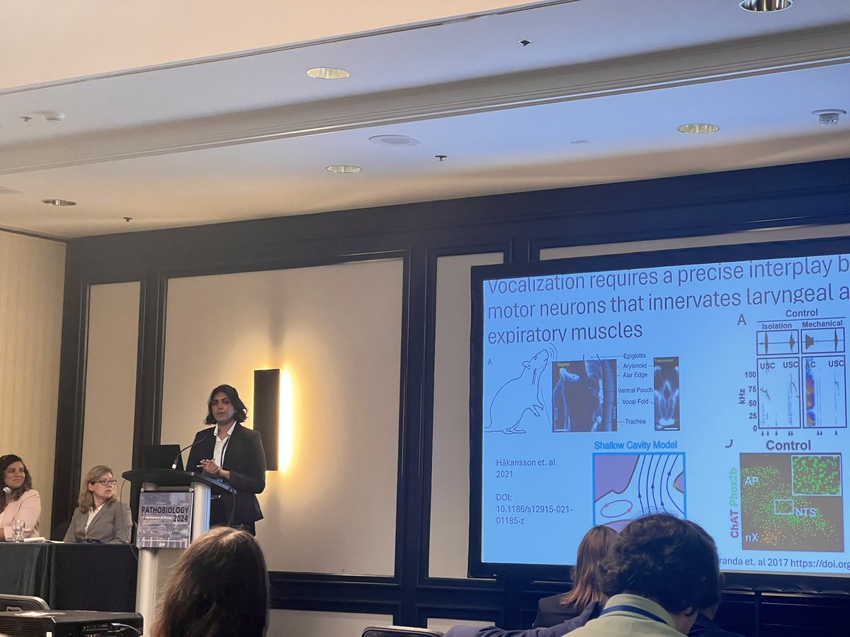 michelejalves's tweet photo. It takes a village to do great things and I feel so lucky to be a member of @ASIPath ! We had a great annual meeting! So happy to see my undergrad integrated with you all. Delighted to see hard work/science from everyone, especially from all trainees!!
#ASIP2024 #Pathobiogy2024 https://t.co/1EDMso3VAO