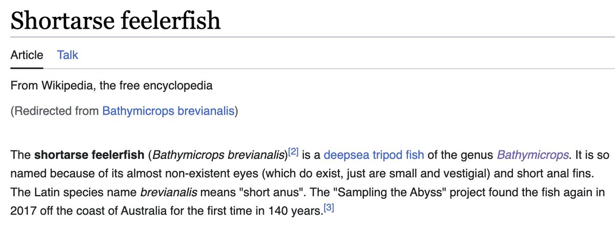 Fish common names that are better than the overhyped bony-eared assfish, Part 345: