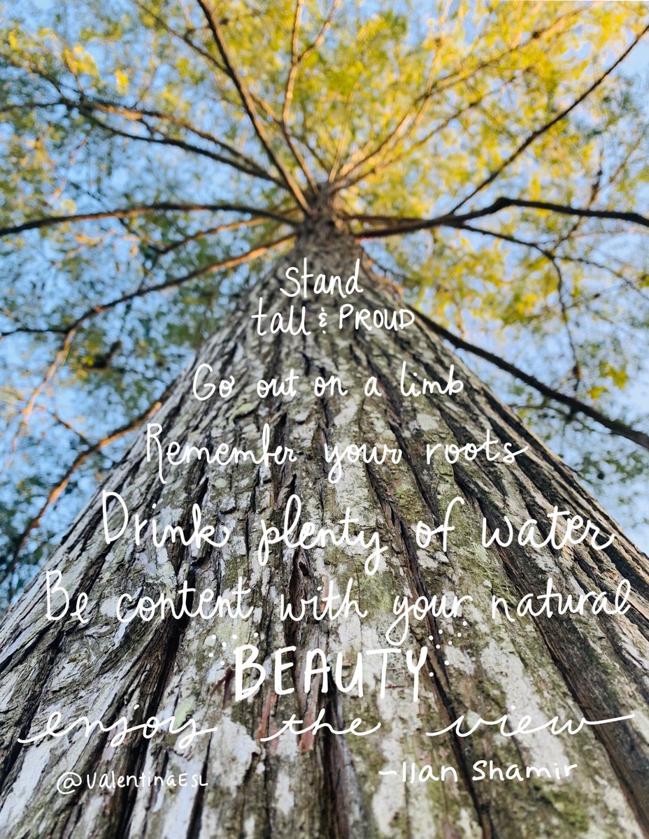 🌍 Dr. Vαℓєηтιηα Gσηzαℓєz ♥️🙌🏽 tweet media