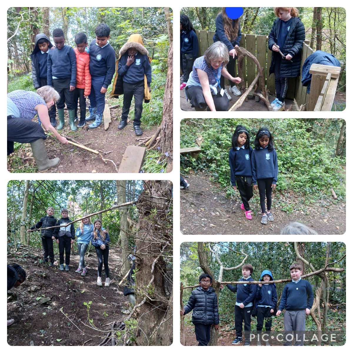 Having read the tale of Branwen in the Mabinogi, Dosbarth Ystwyth built bridges using natural materials to represent Bendigeidfran stretching across the river. We measured the length to see who had the longest bridge #ambitiousandcapable #outdoorlearningweek