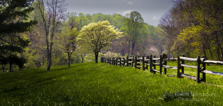 Blue Ridge Parkway in early Spring available here: pictorem.com/977202/Peaks%2… #nationalforest #blueridgeparkway #mountains #virginia #nationalpark #nature #naturephotography #lynchburg #roanoke #landscape #landscapephotography #wallart #gifts #homedecor #ayearforart #BuyIntoArt