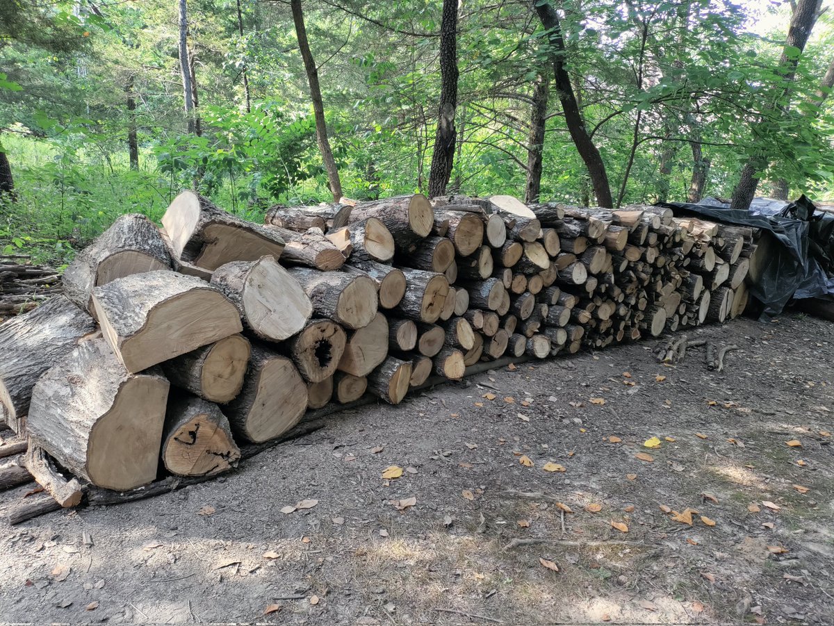 Ewin Barnett tweet media