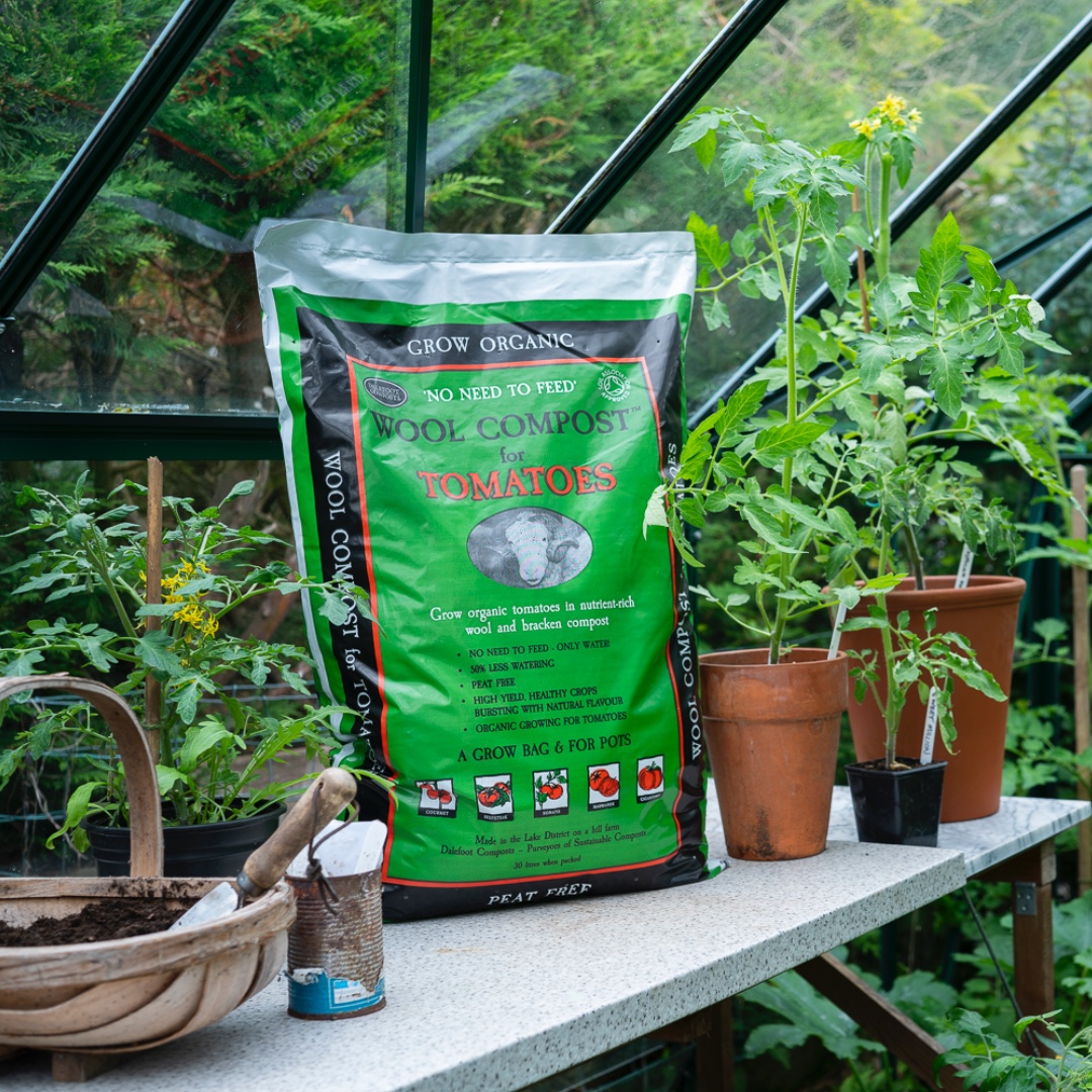 It’s almost time for our tomatoes to go into their forever homes! 🍅 Our Wool Compost for Tomatoes gives your tomato plants all the nutrients they need to support healthy growth and fruiting. Have you tried it yet? 👇 ow.ly/rreu50Rn10r #growingtomatoes #Peatfree