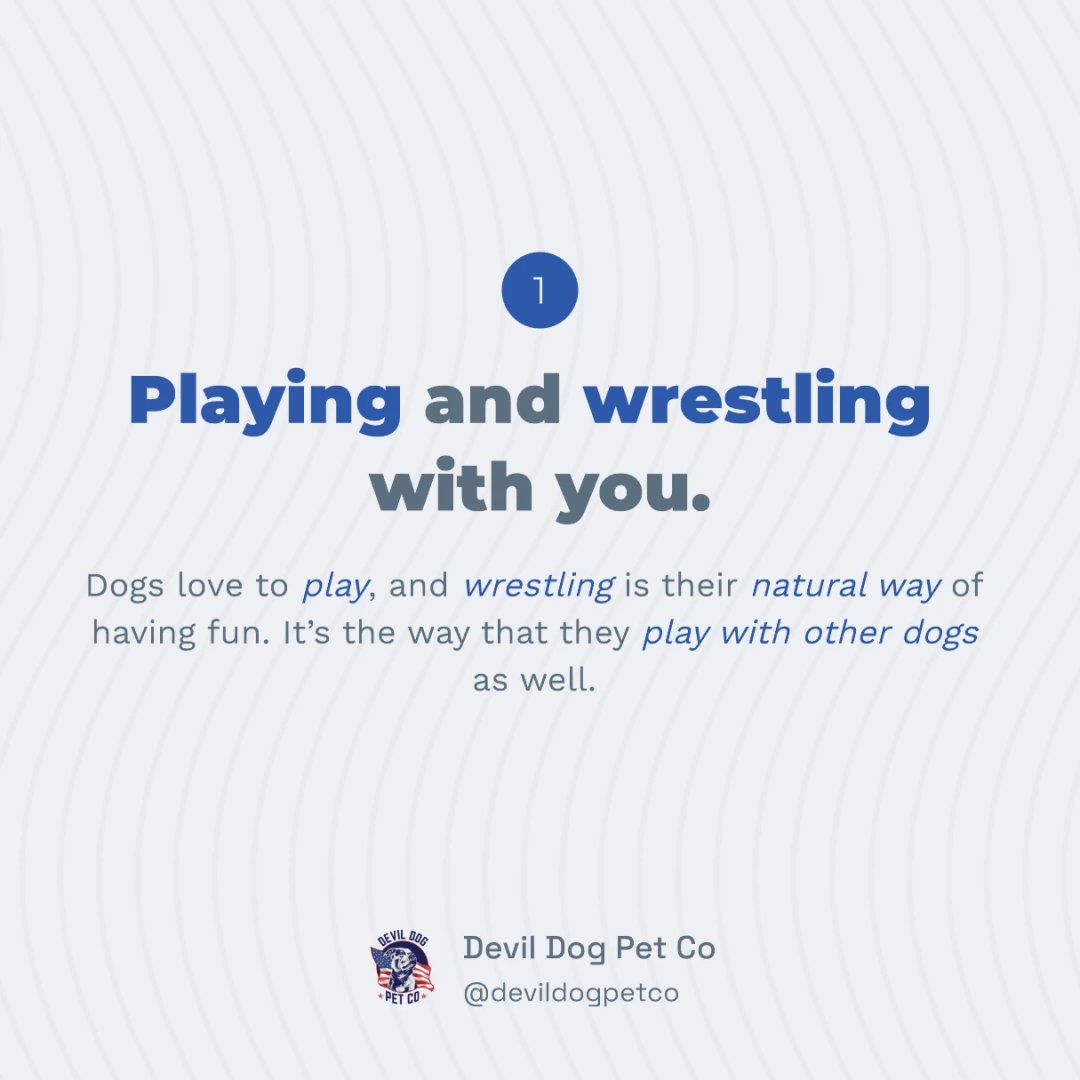 DevilDogPetCo's tweet photo. 🐾💖 Does your pup adore you? Check out these 9 signs and what they mean!  🐶🥰

Which one's does your pup regularly do? https://t.co/EaId65GIQG