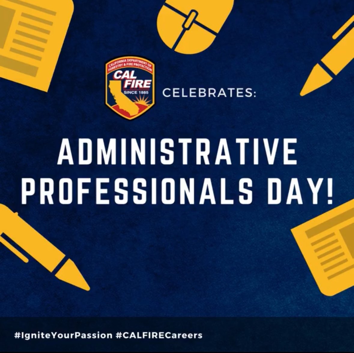 Happy Administrative Professionals Day to the best around! A heartfelt thank you to our team that keeps the department running smoothly day-in and day-out. Our professional staff is essential to our agency, so please join us in thanking them for all that they do!