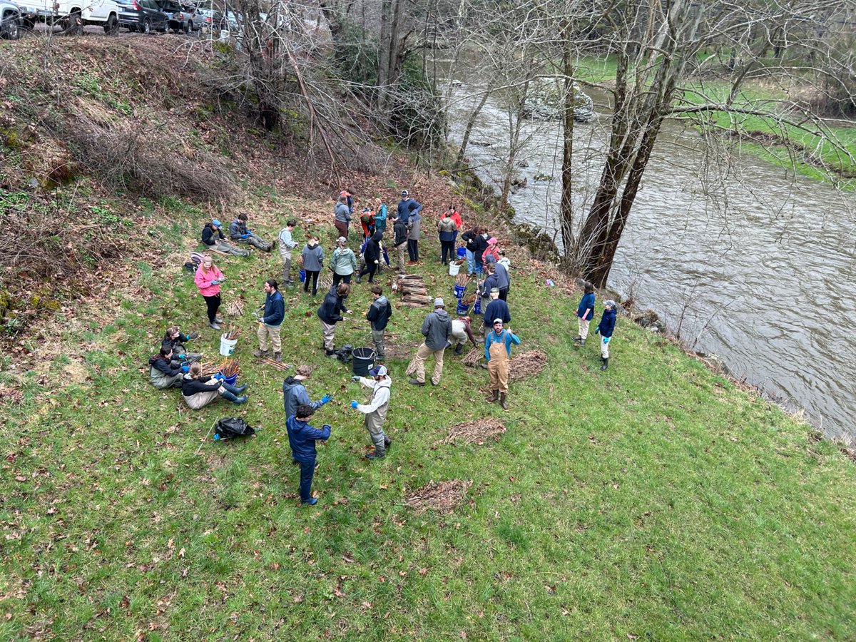 With help from our partners at MountainTrue and Watauga River Keeper, we planted 2,500 live tree stakes along the waterways at the historic site of Ward’s Mill Dam in Sugar Grove, NC. These future trees will provide shade and help aquatic life thrive! 🎣🐟 🌳