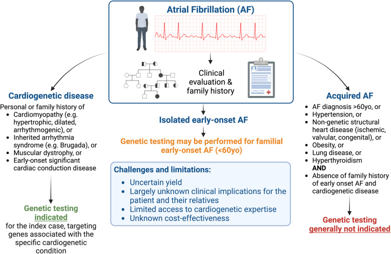 A white paper recently published in @CJCJournals explores the underlying genetics of #AFib and explains how genetic testing could help screen for ventricular cardiomyopathies and #Arrhythmia syndromes in patients with early onset AFib.

Read the report: onlinecjc.ca/article/S0828-…