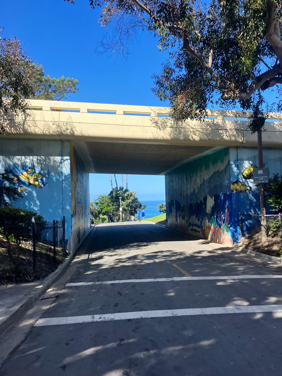 Entrance to Salt Creek Beach! And ocean conditions. 2-4ft swell, 58-60f! #saltcreekbeach #Wednesday #california