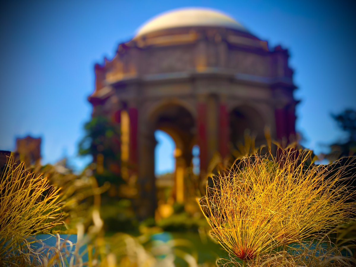 litolits's tweet image. Palace of Fine Arts… you are truly more than what the world sees. 👍🙂📷

#PalaceOfFineArts #SanFrancisco
#Simpleimage #iPhoneography 
#FlyPhotoshootEditRepeat