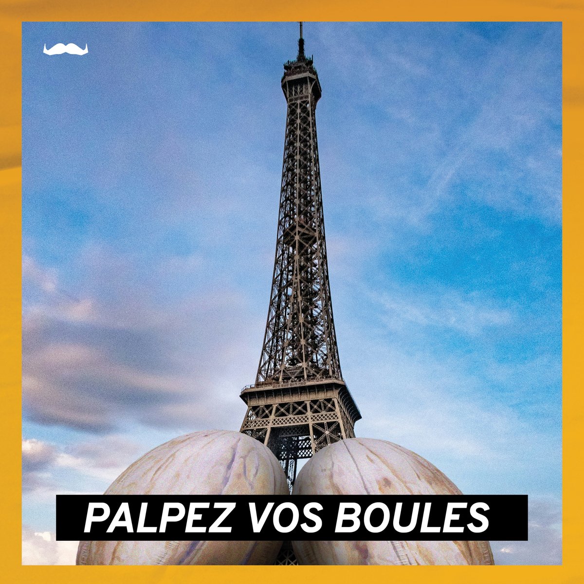 Movember France tweet media