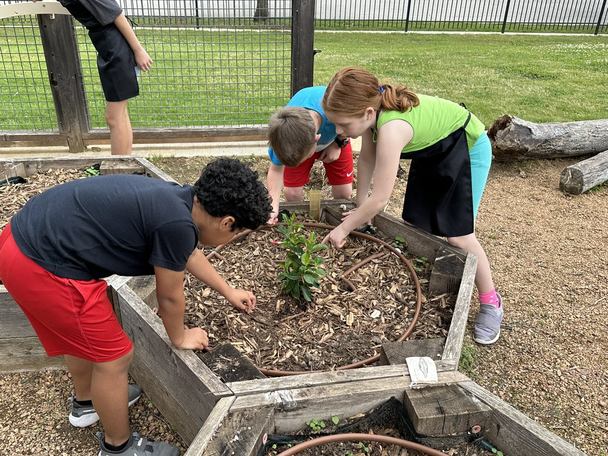 Melanie Gable tweet media