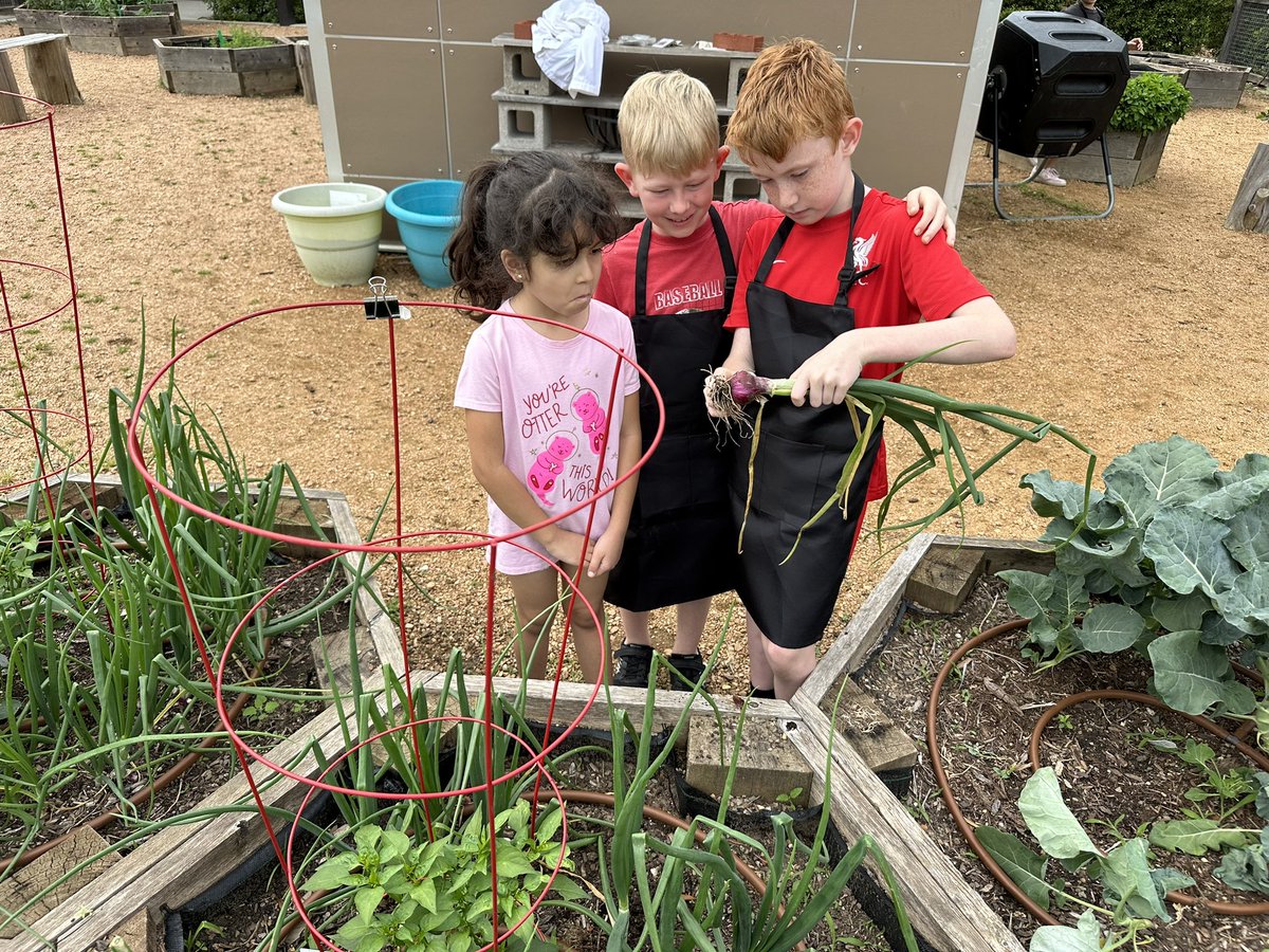 GT LEADers teaching  <a href="/canSTEM/">Cannon Cubs</a> garden’s growth <a href="/mmgable1/">Melanie Gable</a> #BeCannonProud <a href="/GCISD/">Grapevine-Colleyville ISD</a>