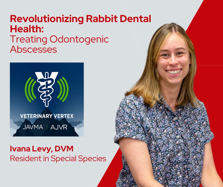 🎧 Listen in: Dr. Ivana Levy joined the @AMVAJAVMA Veterinary Vertex podcast to unveil a groundbreaking non-invasive treatment for rabbit odontogenic abscesses. buzzsprout.com/2047448/148772…