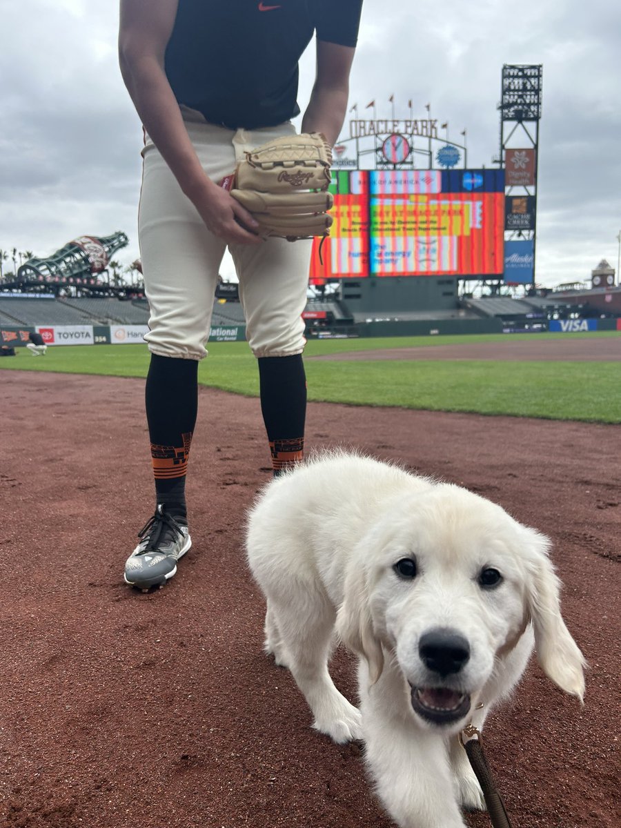 Happy Wednesday here’s Matt Chapman’s puppy Harley