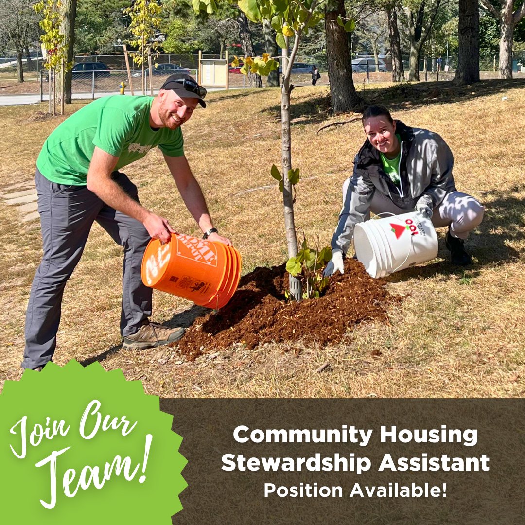 We’re hiring! Are you passionate about tree equity and growing the urban forest? We’d love to hear from you! Learn about our employment opportunity for Community Housing Stewardship Assistant position here: yourleaf.org/node/2618. Application deadline is May 12.