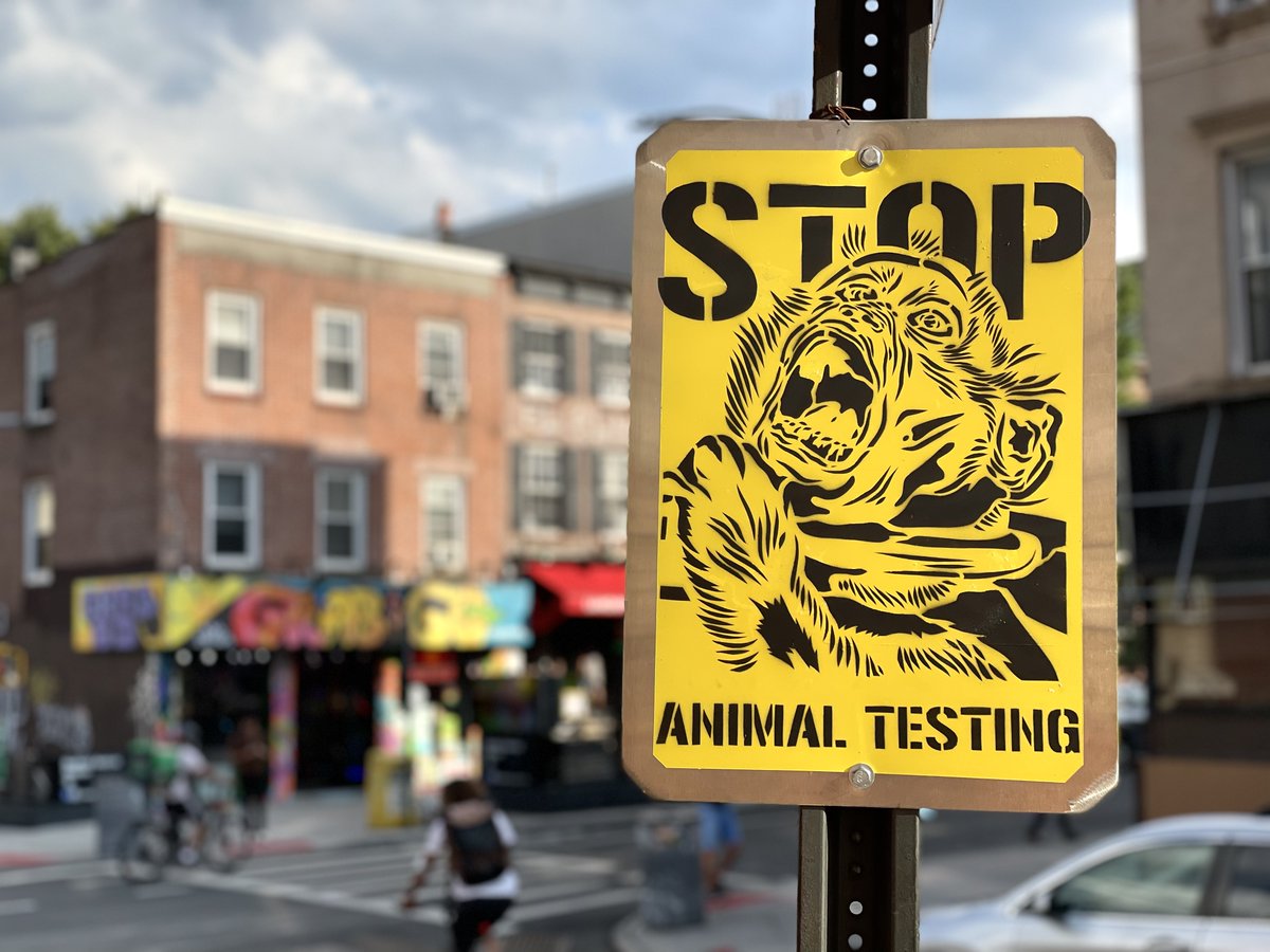 It has to STOP 🛑

Tweet at @NIH urging the government agency to stop funding National Primate Research Centers this #WW4AIL!

🎨: praxis_vgz on IG