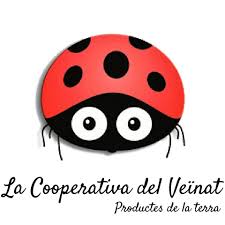 Club Bàsquet Salt tweet media