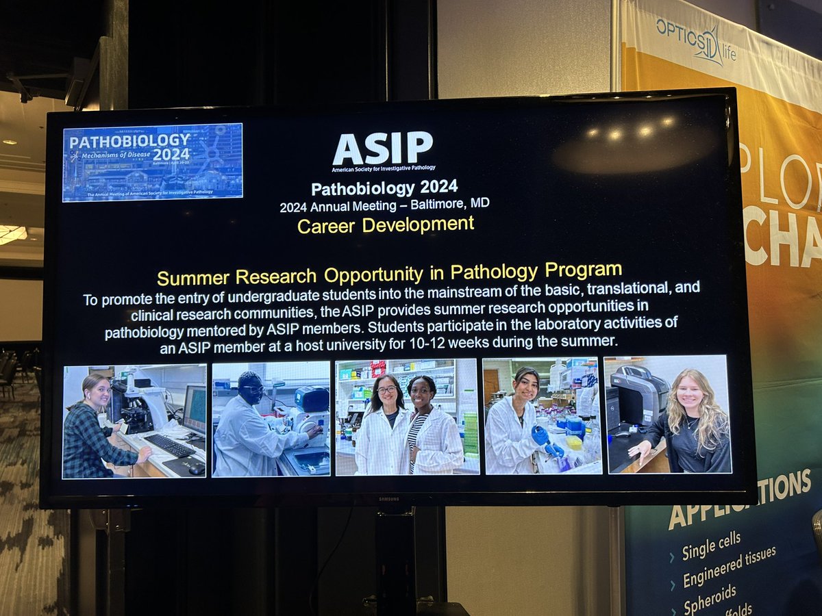 So happy to see my wonderful summer scholar Alena Appiah up on the screen at #asip2024 Alena was a recipient of the @asipath Summer Research Opportunity Program in Pathology (SROPP). Definitely encourage your undergraduates to apply!