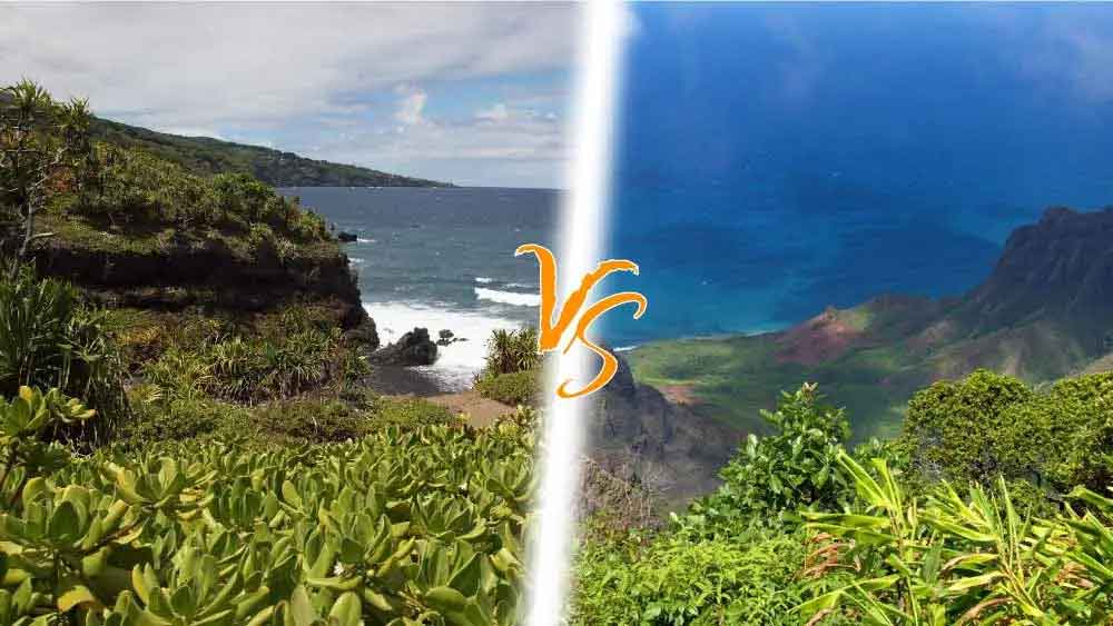 Can't decide between Maui and Kauai for your Hawaiian adventure? Let's break it down!

From stunning beaches to lush landscapes, there's something for everyone.

Check Out: highstuff.com/maui-vs-kauai/

#Hawaii #Maui #Kauai #TravelTips #IslandLife #VacationGoals #ParadiseFound