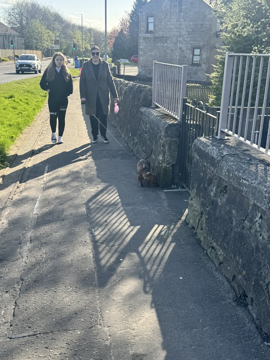 ASC_DENNY_HIGH's tweet photo. S1 took full advantage of the weather this morning and took Freddie πΎ a nice, long walk. Since the sun βοΈ was shining, we stopped for a wee play at the park! We think Miss Paterson may have had the best time πππ @DennyHighSchool #funinthesun #freddiewalks https://t.co/G2gUT0a7Ds