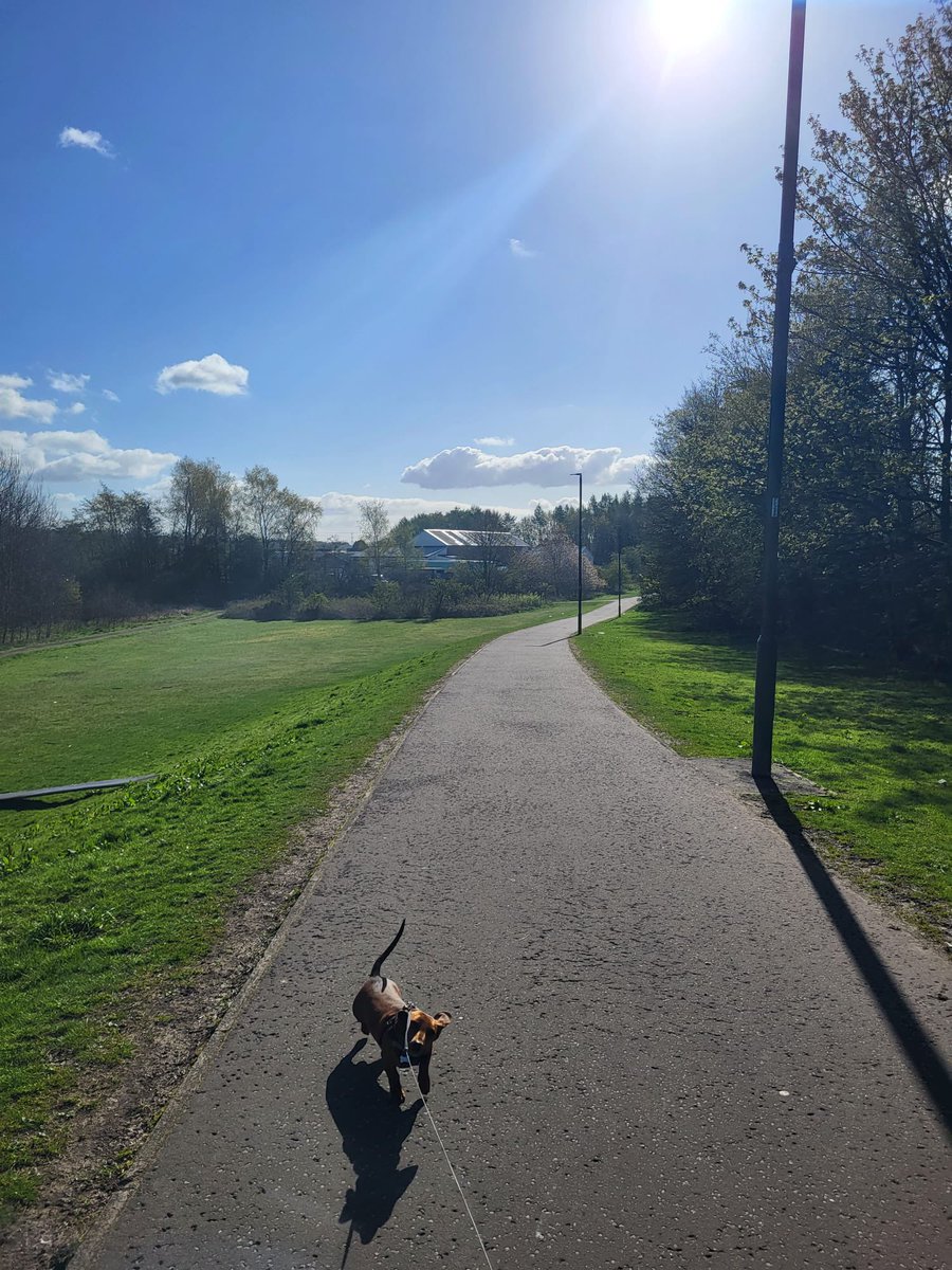 ASC Denny High (@asc_denny_high) on Twitter photo S1 took full advantage of the weather this morning and took Freddie ๐พ a nice, long walk. Since the sun โ๏ธ was shining, we stopped for a wee play at the park! We think Miss Paterson may have had the best time ๐๐๐ <a href="/DennyHighSchool/">Denny High School</a> #funinthesun #freddiewalks S1 took full advantage of the weather this morning and took Freddie ๐พ a nice, long walk. Since the sun โ๏ธ was shining, we stopped for a wee play at the park! We think Miss Paterson may have had the best time ๐๐๐ <a href="/DennyHighSchool/">Denny High School</a> #funinthesun #freddiewalks